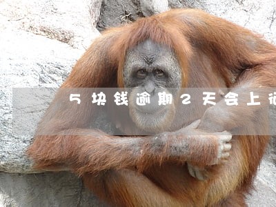 5块钱逾期2天会上征信 5块钱逾期2天会上征信