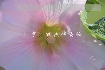 5岁小孩法律责任 5岁小孩法律责任