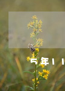 5年11个月逾期超过90天 5年11个月逾期超过90天