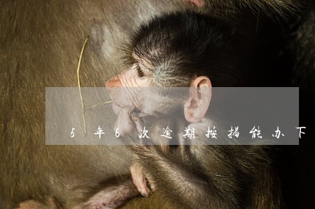 5年6次逾期按揭能办下来吗 5年6次逾期按揭能办下来吗