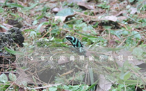 5年6次逾期能不能贷款