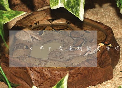 5年9次逾期能房贷吗 5年9次逾期能房贷吗