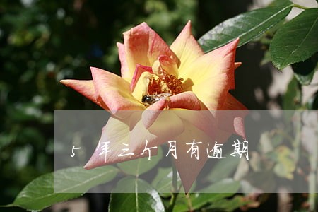 5年三个月有逾期 5年三个月有逾期