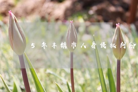 5年丰镇市人身侵权纠纷在线律师 5年丰镇市人身侵权纠纷在线律师