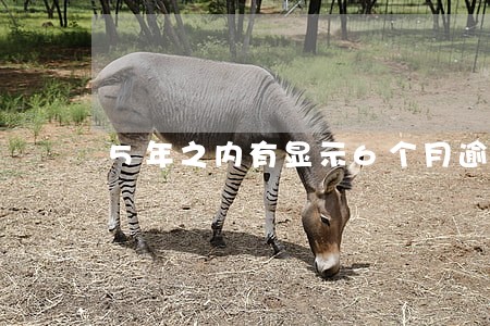 5年之内有显示6个月逾期记录 5年之内有显示6个月逾期记录