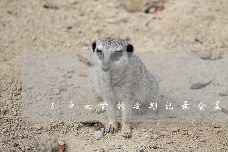 5年之前的逾期记录会显示吗 5年之前的逾期记录会显示吗