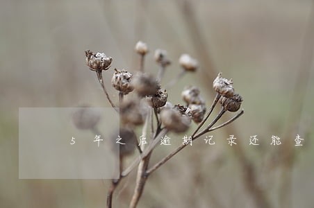 5年之后逾期记录还能查到吗