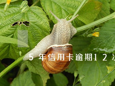 5年信用卡逾期12次 5年信用卡逾期12次