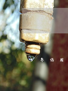 5年信用卡逾期31次 5年信用卡逾期31次