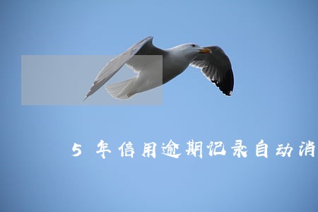5年信用逾期记录自动消除 5年信用逾期记录自动消除
