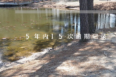 5年内15次逾期记录 5年内15次逾期记录