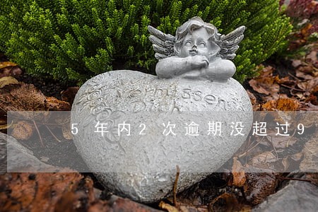 5年内2次逾期没超过90天 5年内2次逾期没超过90天
