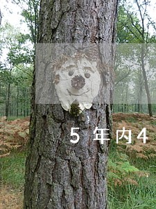 5年内4次逾期公积金贷款 5年内4次逾期公积金贷款