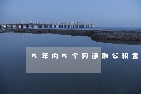 5年内5个月逾期公积金 5年内5个月逾期公积金