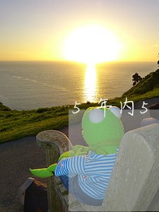 5年内5次逾期中行房贷