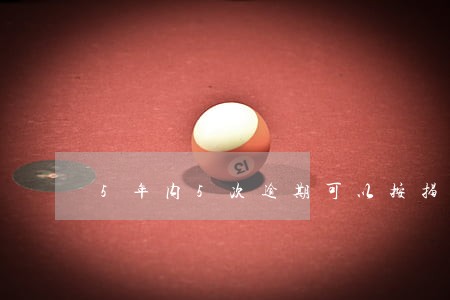 5年内5次逾期可以按揭车贷吗