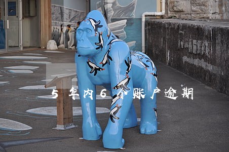 5年内6个账户逾期 5年内6个账户逾期