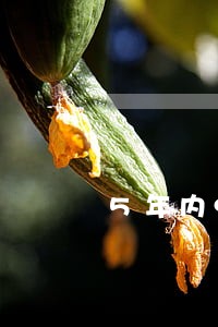 5年内9个账户逾期 5年内9个账户逾期