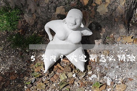 5年内9次逾期怎么消除 5年内9次逾期怎么消除