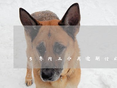 5年内三个月逾期什么意思