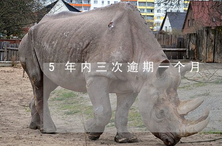 5年内三次逾期一个月 5年内三次逾期一个月