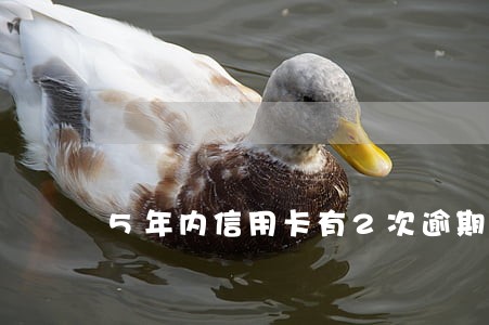 5年内信用卡有2次逾期 5年内信用卡有2次逾期