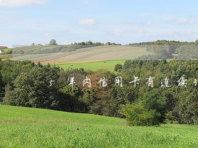 5年内信用卡有连续3个月逾期