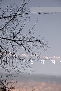 5年内信用卡逾期多次