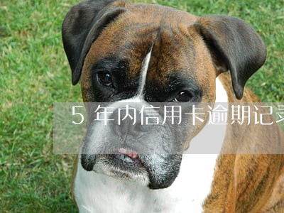 5年内信用卡逾期记录怎么办 5年内信用卡逾期记录怎么办