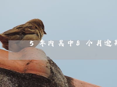 5年内其中8个月逾期超过90 5年内其中8个月逾期超过90
