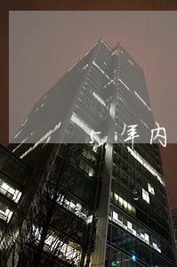 5年内出现连续3次逾期 5年内出现连续3次逾期