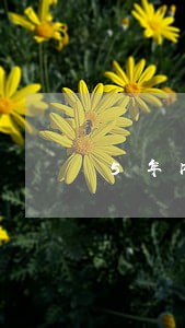 5年内四次逾期能贷款吗 5年内四次逾期能贷款吗