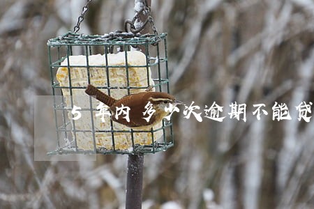 5年内多少次逾期不能贷款