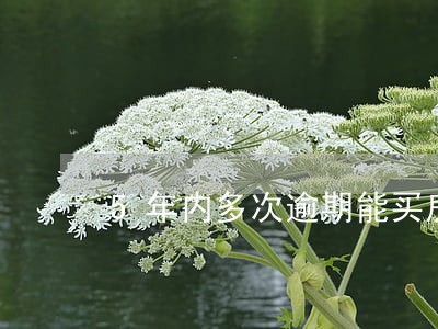 5年内多次逾期能买房吗 5年内多次逾期能买房吗