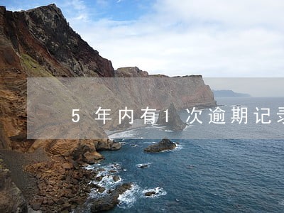 5年内有1次逾期记录 5年内有1次逾期记录