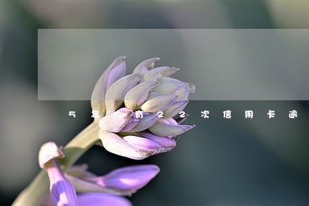 5年内有22次信用卡逾期 5年内有22次信用卡逾期