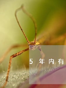 5年内有33次逾期能办公积金吗 5年内有33次逾期能办公积金吗
