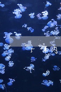 5年内有3个信用卡逾期状态 5年内有3个信用卡逾期状态