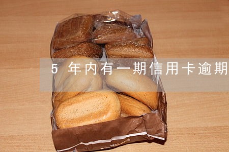 5年内有一期信用卡逾期