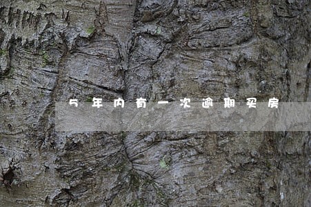 5年内有一次逾期买房 5年内有一次逾期买房