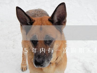 5年内有一次逾期未超过90天 5年内有一次逾期未超过90天