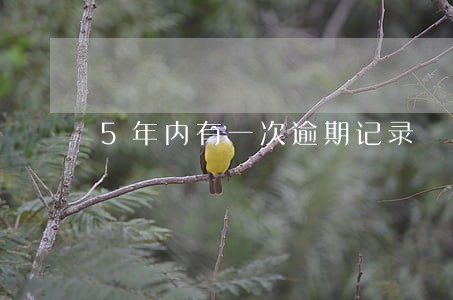 5年内有一次逾期记录 5年内有一次逾期记录