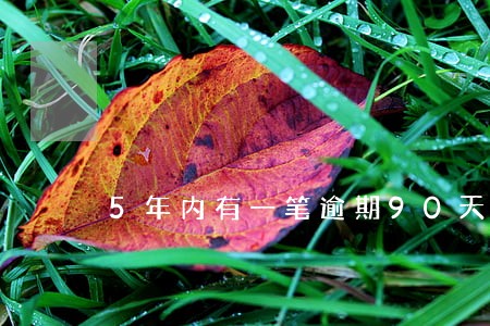 5年内有一笔逾期90天的记录 5年内有一笔逾期90天的记录