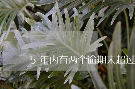 5年内有两个逾期未超过90天 5年内有两个逾期未超过90天