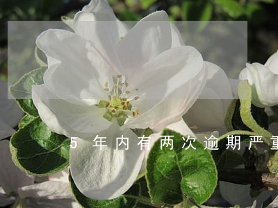 5年内有两次逾期严重么 5年内有两次逾期严重么