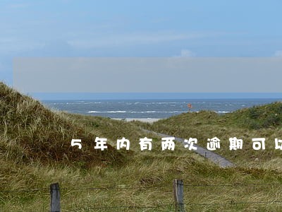5年内有两次逾期可以贷款吗