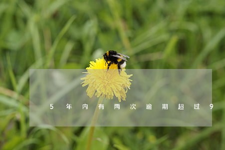 5年内有两次逾期超过90天 5年内有两次逾期超过90天