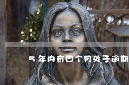 5年内有四个月处于逾期状态 5年内有四个月处于逾期状态