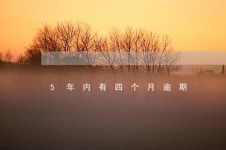 5年内有四个月逾期 5年内有四个月逾期