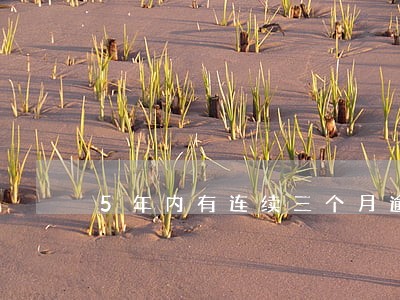 5年内有连续三个月逾期状态 5年内有连续三个月逾期状态